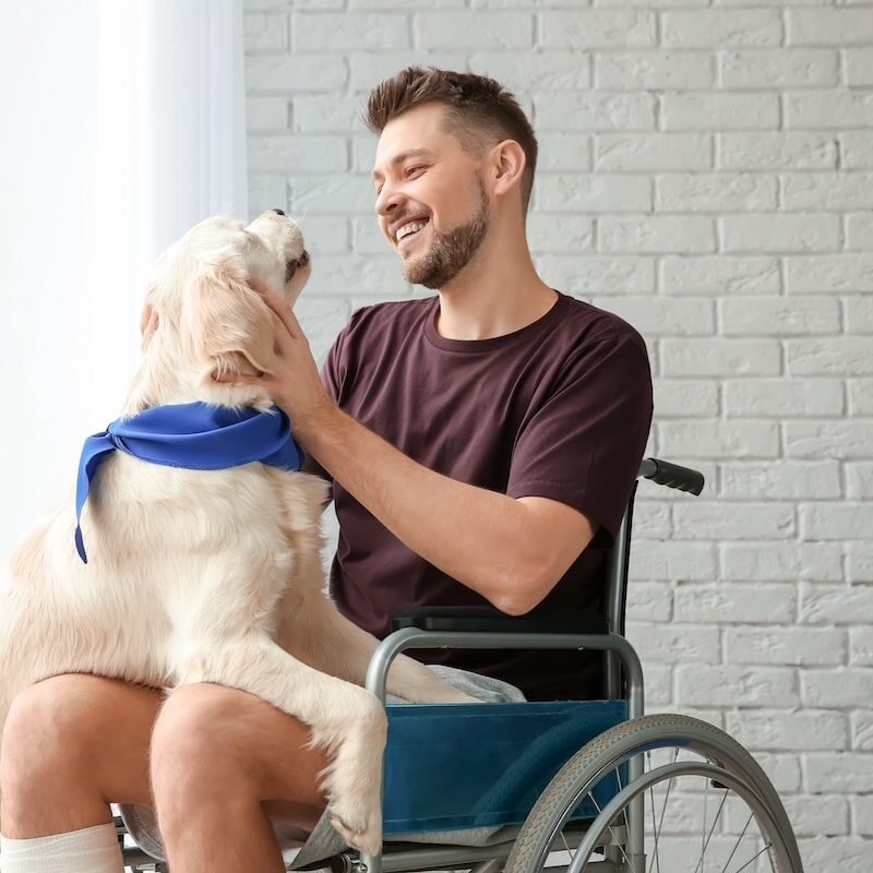 Man in wheelchair with service dog indoors