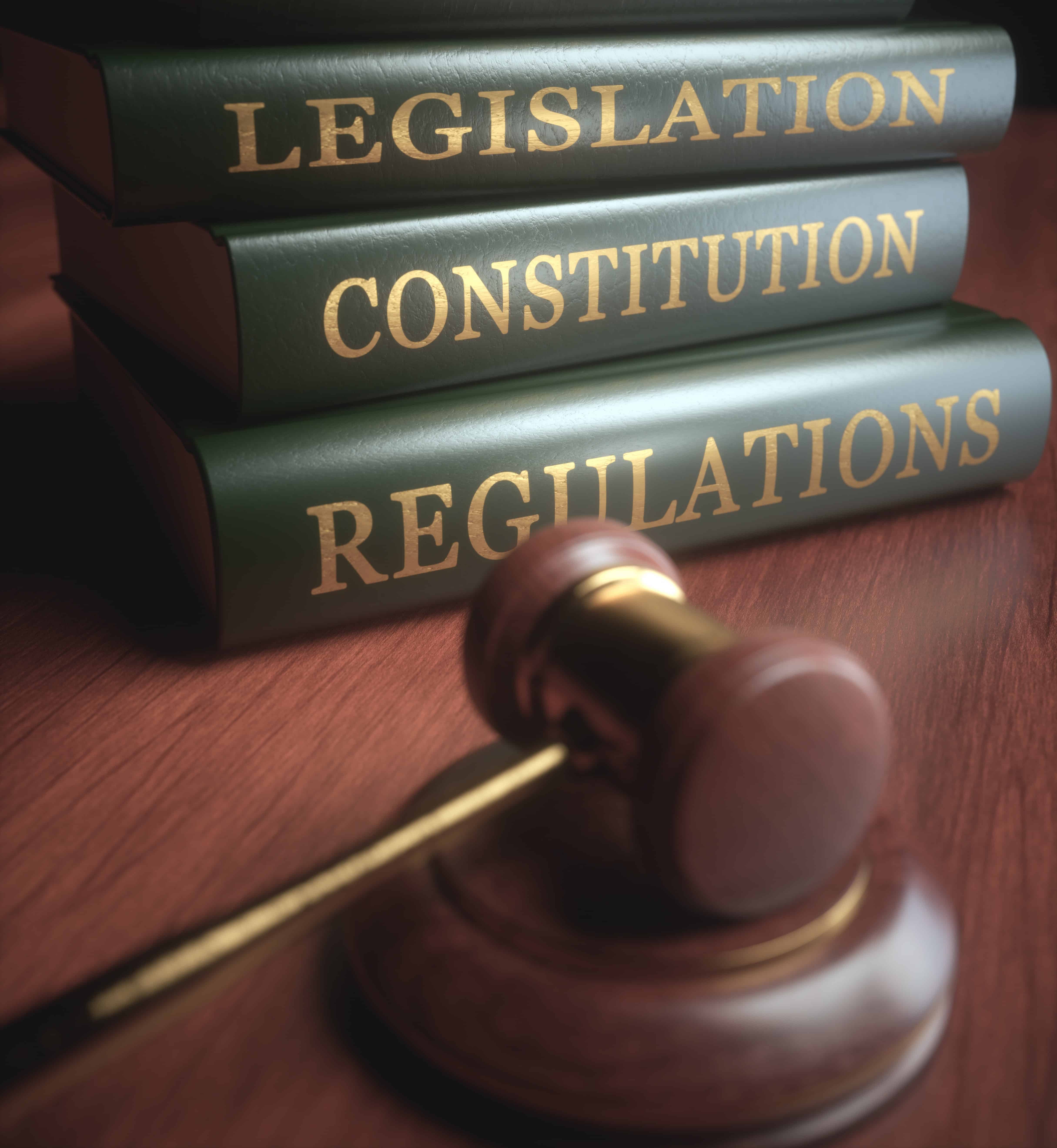 Human Rights Hammer Book