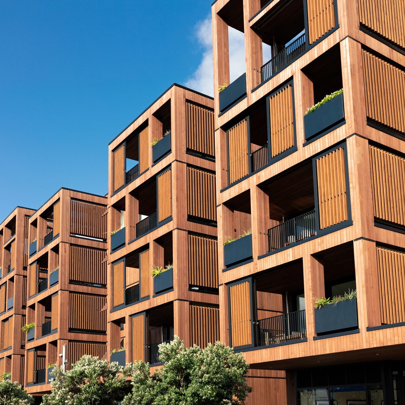 A large modern development of luxury flats in Auckland, New Zealand, with a hardwood facade.